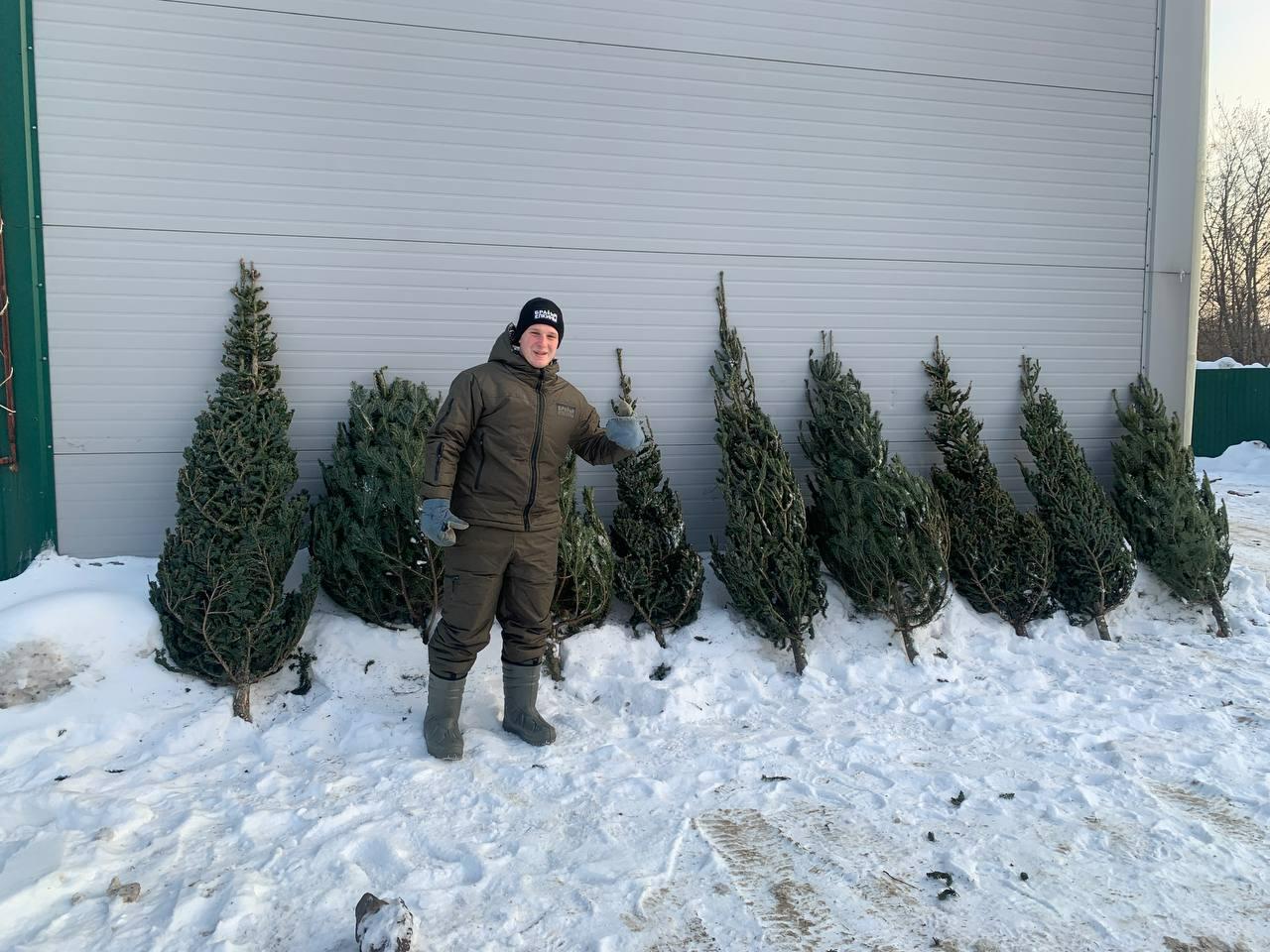 Фото Журналист сравнил цены на елочных базарах Новосибирска 11